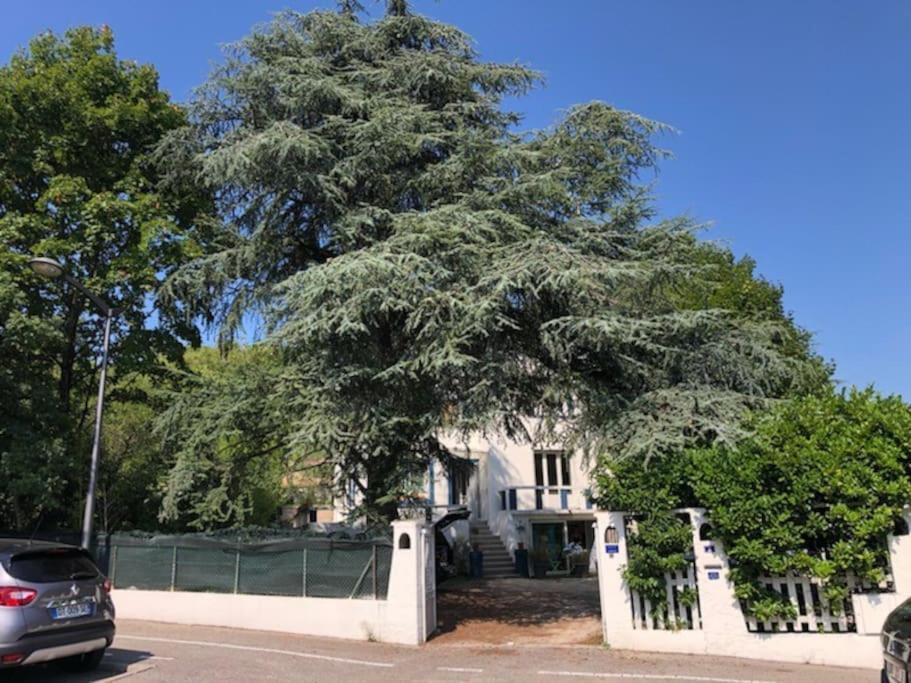 Villa Les Terrasses Dans La Nature Avec Piscine A 2 Pas De Lyon, Metro A 15Mn A Pied Pour Lyon Centre En 10Mn Ou Bus A 300M Pour Lyon Centre Oullins Bagian luar foto